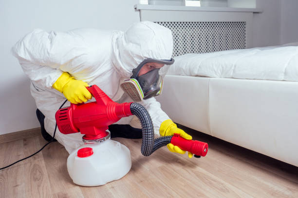 Best Flea Control Services  in Franklin Lakes, NJ