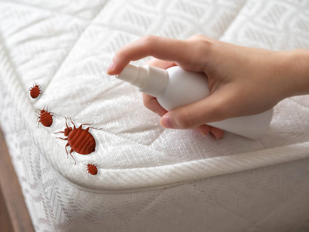 Best Best Pest Control Companies  in Franklin Lakes, NJ