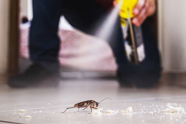 Best Mosquito Control Services  in Franklin Lakes, NJ